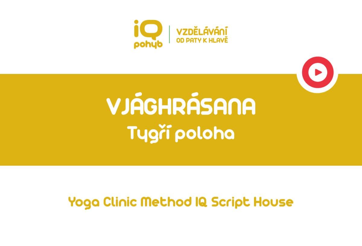 Yoga Clinic Method - Vjághrásana - tygří poloha