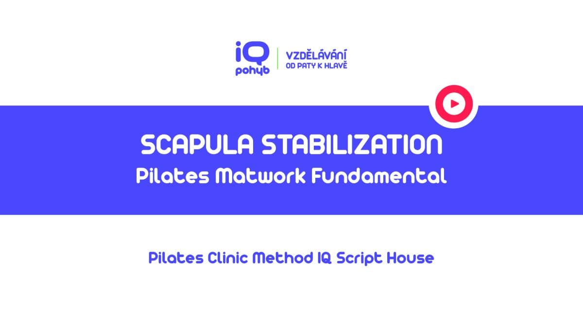Pilates Clinic Method - Matwork - Scapula Stabilization