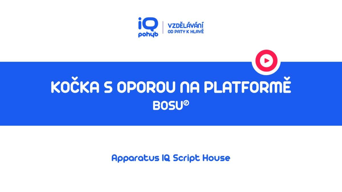 Bosu - Kočka s oporou horních končetin na platformě