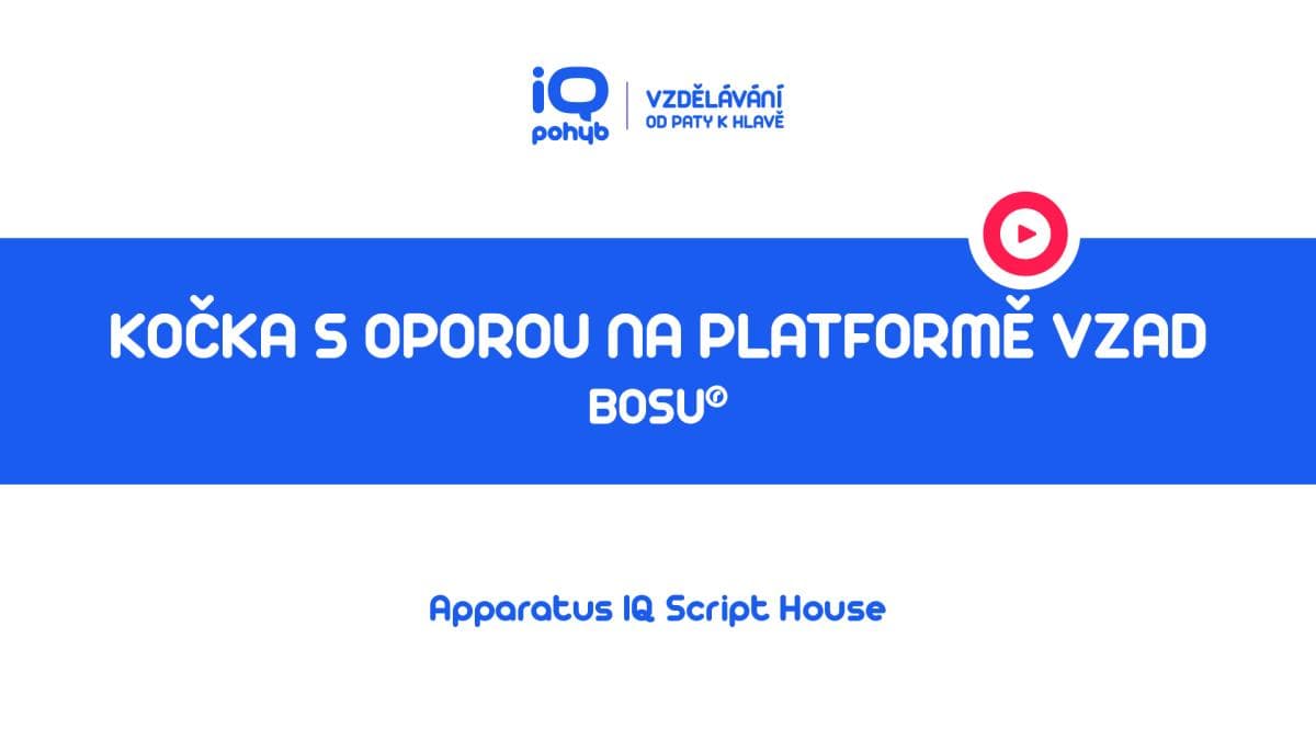 Bosu - Kočka s oporou horních končetin na platformě s naklopením vzad