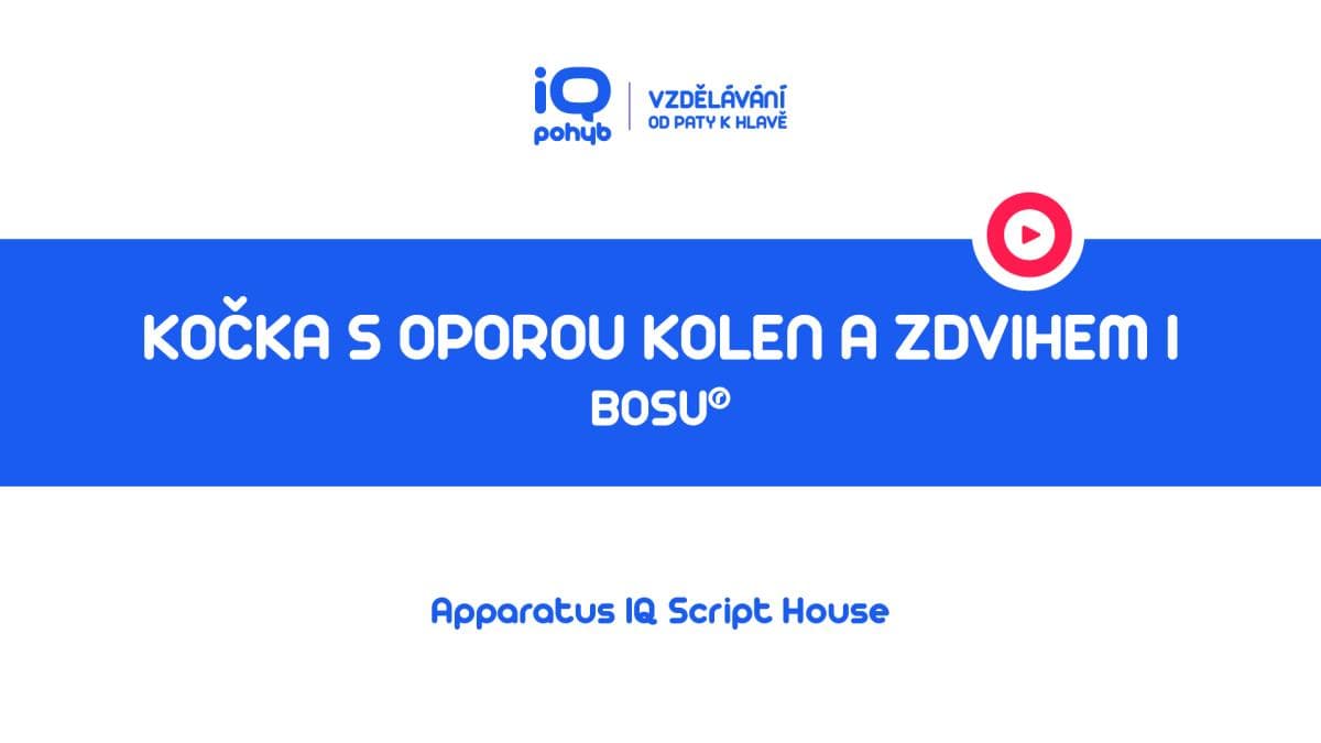 Bosu - Kočka s kolenními klouby na kopuli se zdvihem dolní končetiny