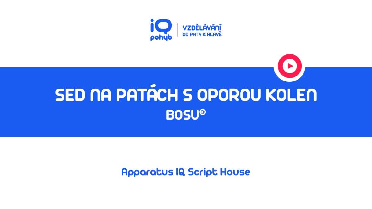 Bosu - Sed na patách s oporou kolenních kloubů o kopuli