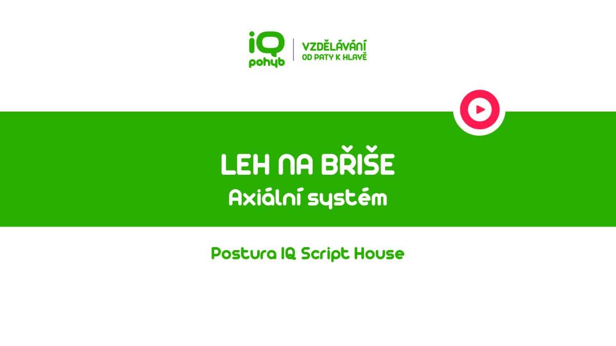 Postura - Axiální systém - Leh na břiše