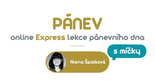 pánev expres + končetina - B1 - č.856a